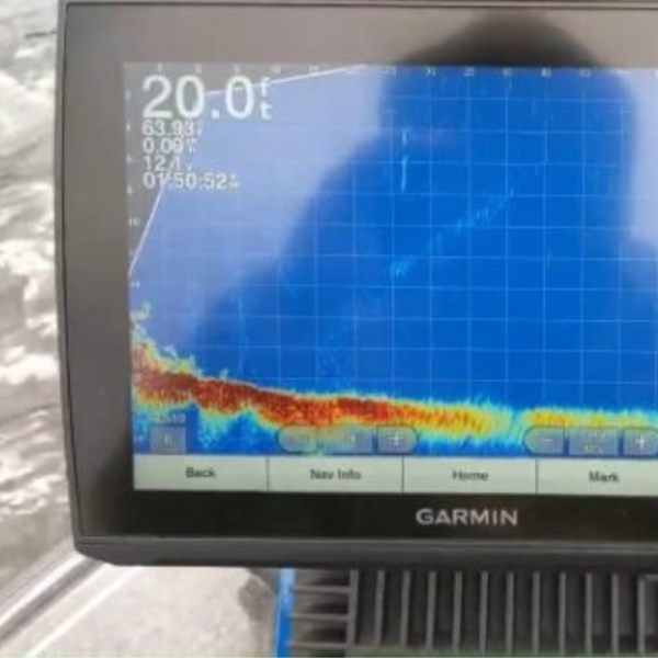 Garmin Live Scope™ Plus System - Image 2